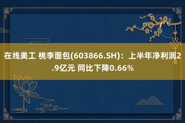 在线美工 桃李面包(603866.SH)：上半年净利润2.9亿元 同比下降0.66%