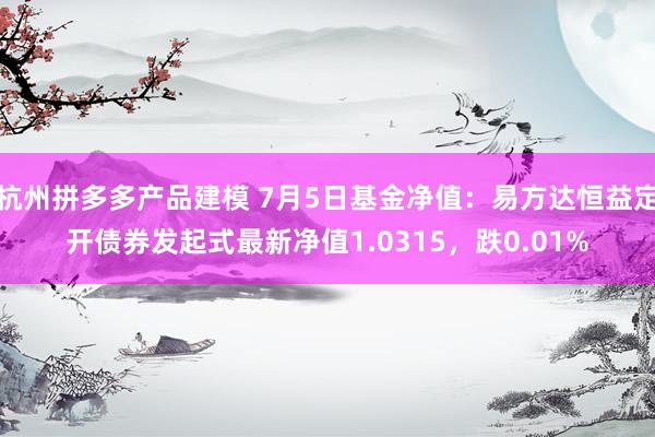 杭州拼多多产品建模 7月5日基金净值：易方达恒益定开债券发起式最新净值1.0315，跌0.01%