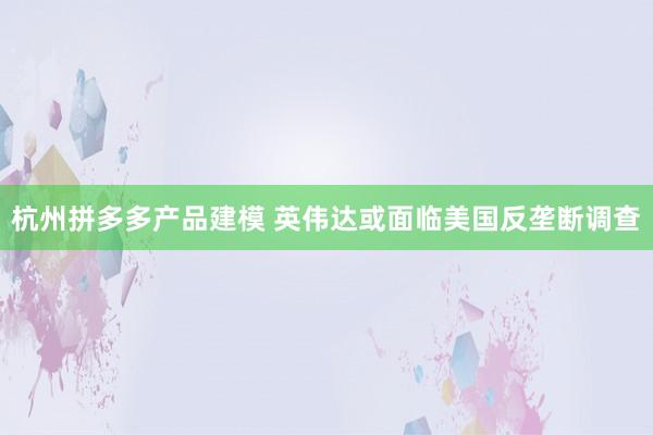 杭州拼多多产品建模 英伟达或面临美国反垄断调查