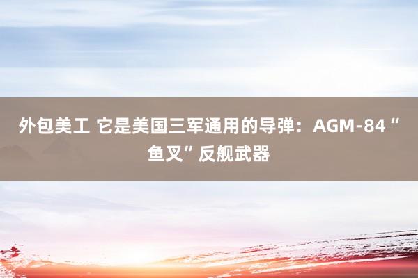 外包美工 它是美国三军通用的导弹：AGM-84“鱼叉”反舰武器