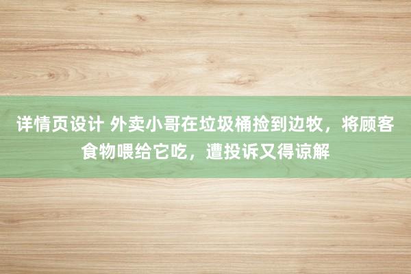 详情页设计 外卖小哥在垃圾桶捡到边牧，将顾客食物喂给它吃，遭投诉又得谅解