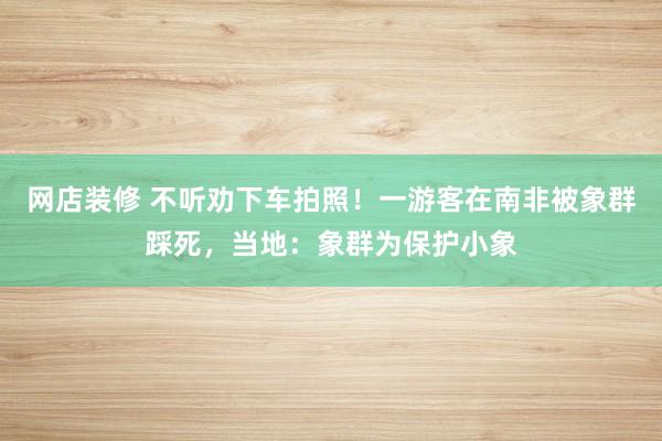 网店装修 不听劝下车拍照！一游客在南非被象群踩死，当地：象群为保护小象