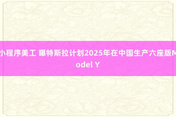 小程序美工 曝特斯拉计划2025年在中国生产六座版Model Y