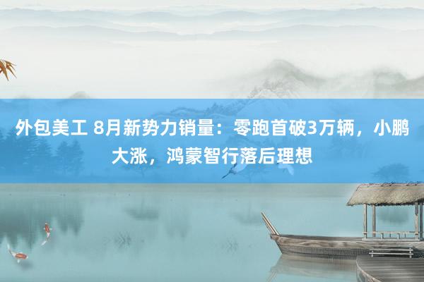 外包美工 8月新势力销量：零跑首破3万辆，小鹏大涨，鸿蒙智行落后理想